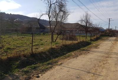 Teren de 2300 mp, în Dragodănești - 1