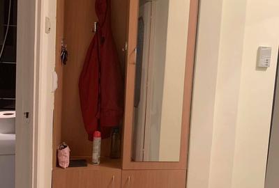 Apartament cu 2 camere decomandat în Remetea - 3