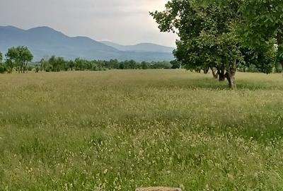 Teren Construcții intravilan de 10500 mp, în Exterior Nord - 9