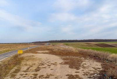 Teren intravilan la asfalt si statie autobuz Ilfov Cernica Posta - 13