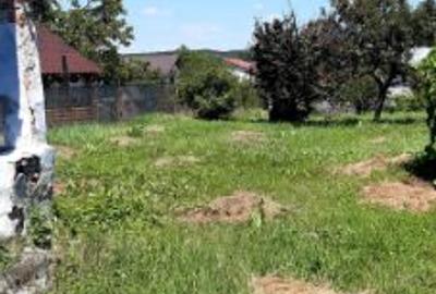 Teren Construcții intravilan de 1100 mp, în Geamăna - 1