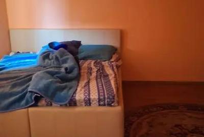 Casă cu 2 camere în Satchinez - 8