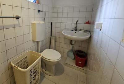 Casă individuală mare, deosebită, D+P+M, Timișoara, Braytim, comision 0% - 25