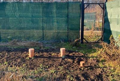 Cabana din lemn in zona padure - 1