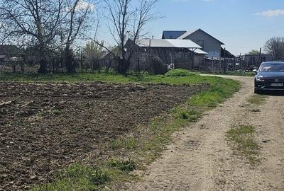 Teren de 1400 mp, în Roșu - 1