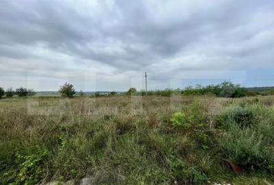 Teren de 2806 mp, în Ișalnița - 2