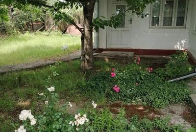 Casă cu 4 camere cu Teren 2100 Mp în Blidari (Cârligele) - 9