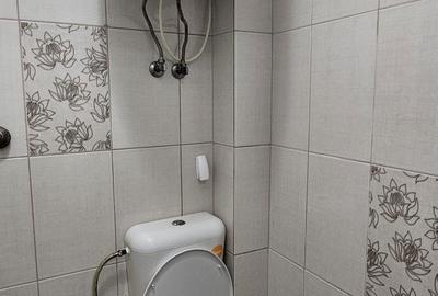 Garsonieră în Pecinișca - 6