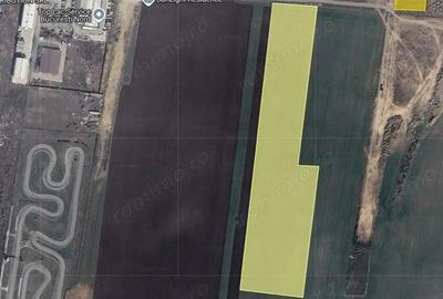 Teren de 18000 mp, în Tunari - 2