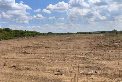 Teren intravilan de vanzare 28.200 mp Bucuresti Sector 6 - 5