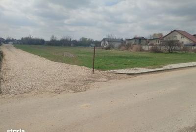 Spațiu comercial, în Dragomirești-Vale - 4