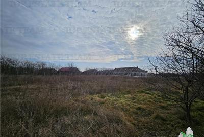 Teren de 28000 mp, în Hârșova - 2