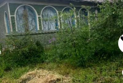 Casă cu 6 camere cu Teren 3365 Mp în Constantin Brâncoveanu - 3