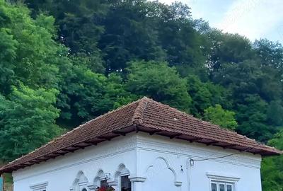 Vand casa la munte ! - 4