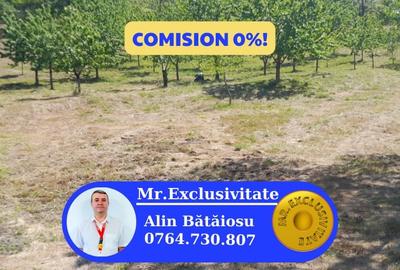 Teren extravilan de vanzare – Stanesti, 3.861 mp, livada de ciresi - 1