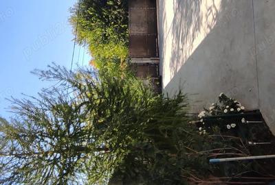 Casa tip vila vanzare - 1