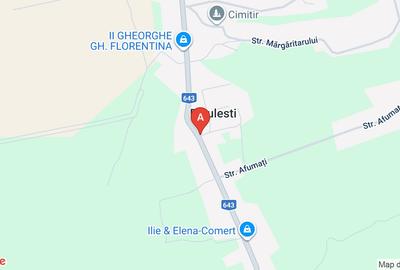 Ocazie! Proprietar vând casă cu 7 camere în Diculești, teren 2267 mp - 3