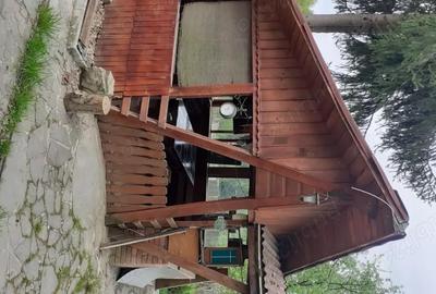 Casă cu 3 camere cu Teren 700 Mp în Baia Sprie - 2