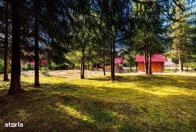 Spațiu comercial, de 300 mp, în Arieșeni - 18