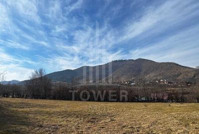 Teren intravilan 2.295 mp, deschidere 60 m – Rășinari, comision 0% - 5