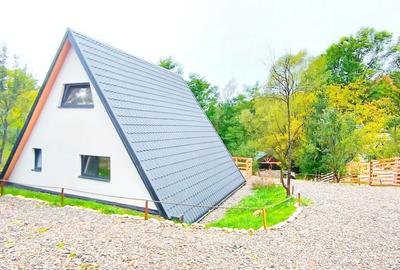 Casă cu 4 camere în Adunați - 3