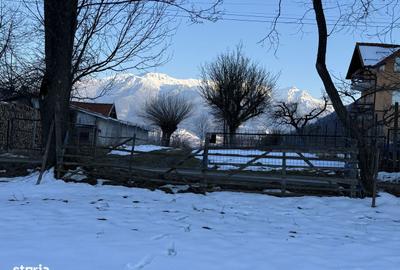 Spațiu comercial, în Bran - 10