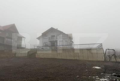 Casă cu 7 camere cu Teren 1800 Mp în Central - 11