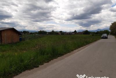 Teren de 5000 mp, în Periferie - 3