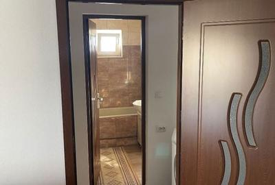 Apartament cu 2 camere semidecomandat în Turnișor - 9
