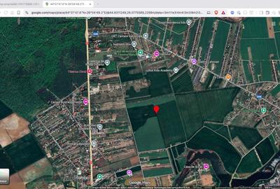 Teren extravilan 18.200 mp Saftica Balotesti - 3