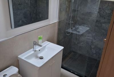 Garsonieră decomandată în Camil Ressu - 3