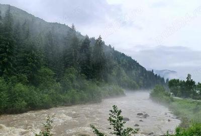 Casă cu 6 camere cu Teren 4600 Mp în Tarcău - 10