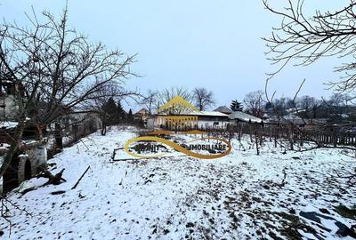 De vanzare casa Magura Bacau - 8