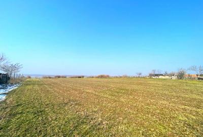 Teren Intravilan Daeni Tulcea - 3