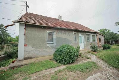 Casă cu 3 camere cu Teren 3205 Mp în Sânnicolau Român - 4