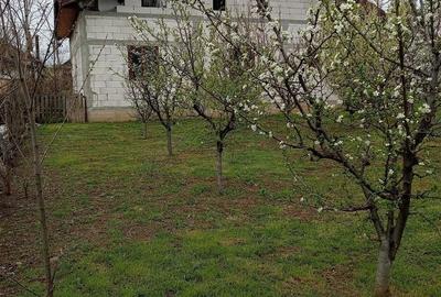 Casă cu 4 camere cu Teren 895 Mp în Vadu Pașii - 7