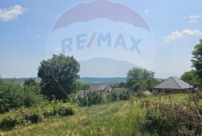 Teren  intravilan  de vanzare Oras  Saliste  Strada Livezii Jud. Sibiu - 7