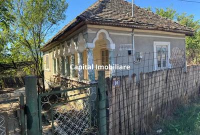 Casă cu Teren 6299 Mp în Gogoșu - 2
