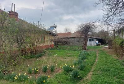 Teren de 7400 mp, în Fierbinți-Târg - 4