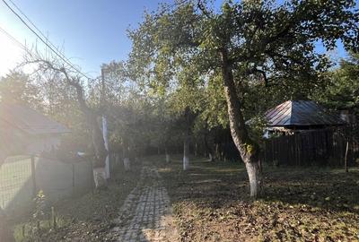 Casă individuală cu 4 camere cu Teren 866 Mp în Măgura (Hulubești) - 22