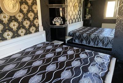 Ap 2 camere de lux extravagant strand str bihorului - 10