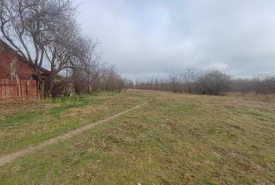 Teren intravilan Valcelele Jud Calarasi - 2