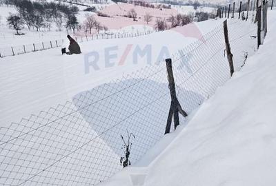 Teren agricol extravilan de 4301 mp, în Bârsana - 3