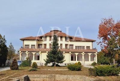 VANZARE VILA | HALA IN VLADICEASCA | SNAGOV | 10.500 MP TEREN - 2