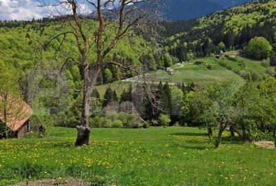 Teren intravilan 3400 mp, in Balaban - Simon, Bran - Brasov - 8