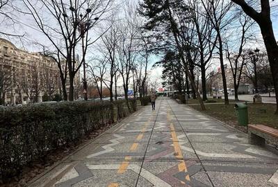 Blv. Unirii 85 mp vitrina 10 m - 1