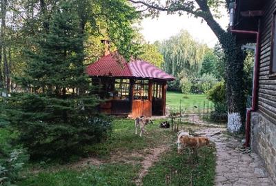 De vanzare proprietate (fosta pensiune) pe malul raului Teleajen - 8