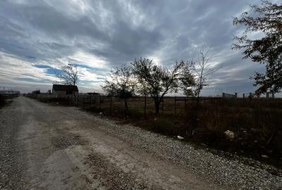 Teren intravilan 750 mp Tunari Stejarului - 5