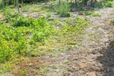 Blitz va ofera spre vanzare casa in Covasan? - 4