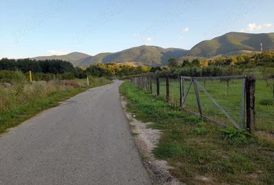 Teren de 2400 mp, în Păucinești - 3